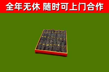 莲花回收海参